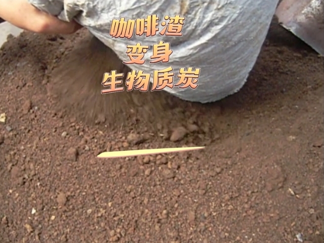 91免费版下载91免费成人大片變廢為寶的藝術,看咖啡渣變成高熱值生物炭